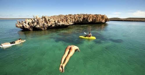 Dirk Hartog Island Eco Lodge Denham Exteriér fotografie